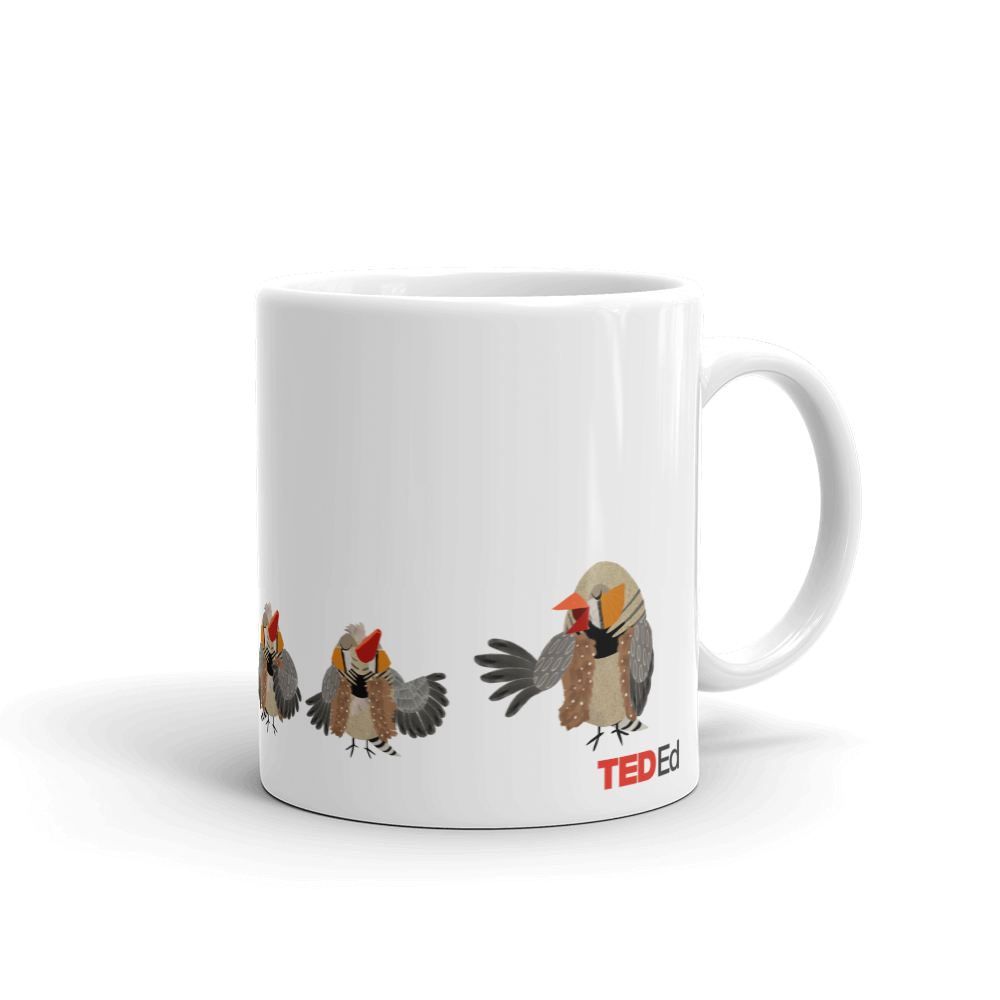 Early Bird