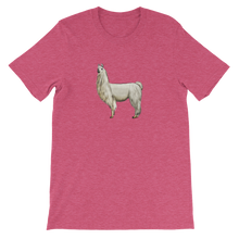 Whole lotta llama