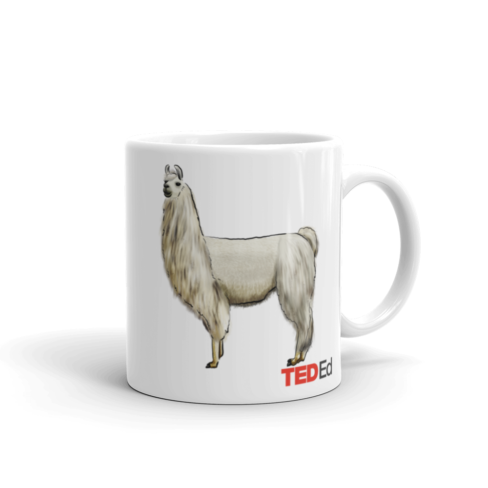 Cup of llama